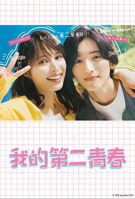 刷网站优化首页软件